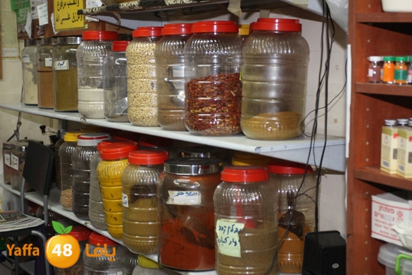 zhra2new612 (32).JPG